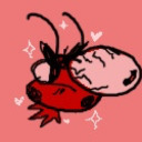 mlmemes avatar