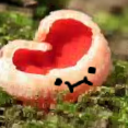 mlody-workowiec avatar