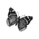 mmaybe-tomorroww avatar