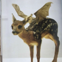 mmleekay-blog avatar