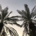 mmmmmmm-97-mmmmmmm avatar