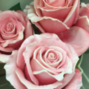 mmmmmmmm-soap avatar