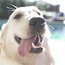 mnjwatchparty avatar