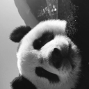 mo0nd4li1ch1t avatar