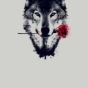 mo3gunz-thn-roses avatar