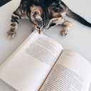 mochaesthetic avatar