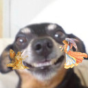 mochafrappelvr avatar