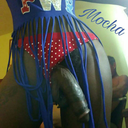 mochaswallowz-blog avatar