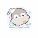 mochi-penguin avatar