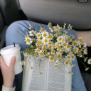 mochieslowreads avatar