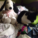 mochiiiiiiiii avatar