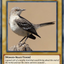 mockinbirb avatar