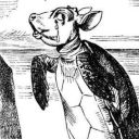 mocking-turtles avatar