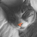 mockingbirds-and-scissorhands avatar