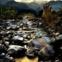 mockingbirdss avatar