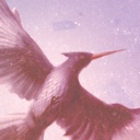 mockingjayfeathers avatar