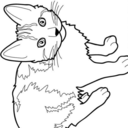 mockmocktology avatar