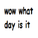 modern-calendar avatar