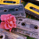 moderna-ljubav avatar