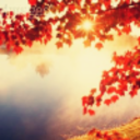 moderndaycomes avatar