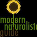 modernnaturalista-blog-blog avatar