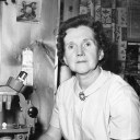 modernprophet avatar