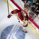 modestkingdoms avatar