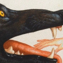 moenieandkitchi avatar