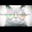 mofo-unicorn avatar