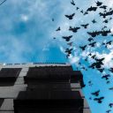 mohamad-almisawi avatar