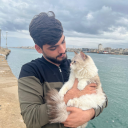 mohammedgazaa avatar