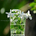 mohanedmb41-blog avatar