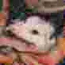 moisterpeggingchampion avatar