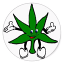 moistvaginamarijuana avatar