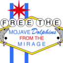 mojavedolphins avatar