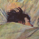 molamolamoshpit avatar