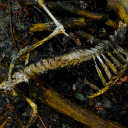 moldingmatches avatar