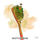 moldytoothbrush avatar