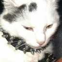 molluskzone-moving avatar