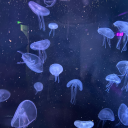 mollymollymoo2000 avatar