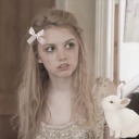 mollysblogger avatar