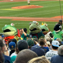 mollywobbles21 avatar