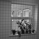 molten-misery avatar