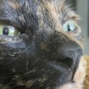 mom-im-scared avatar