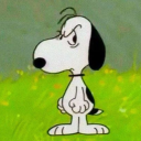 moment-tolive avatar