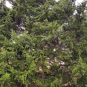 momentmovementum avatar