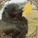 momento-mori-leaves-a-debt avatar