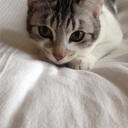 moments-0f-being avatar