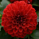 moments-of-sonder avatar