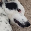 momentsnotdays avatar